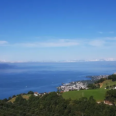 La Pergola * Montreux