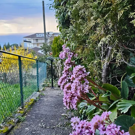 La Pergola Apartman Montreux