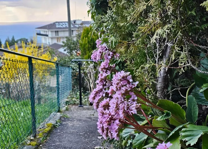 La Pergola Apartament Montreux